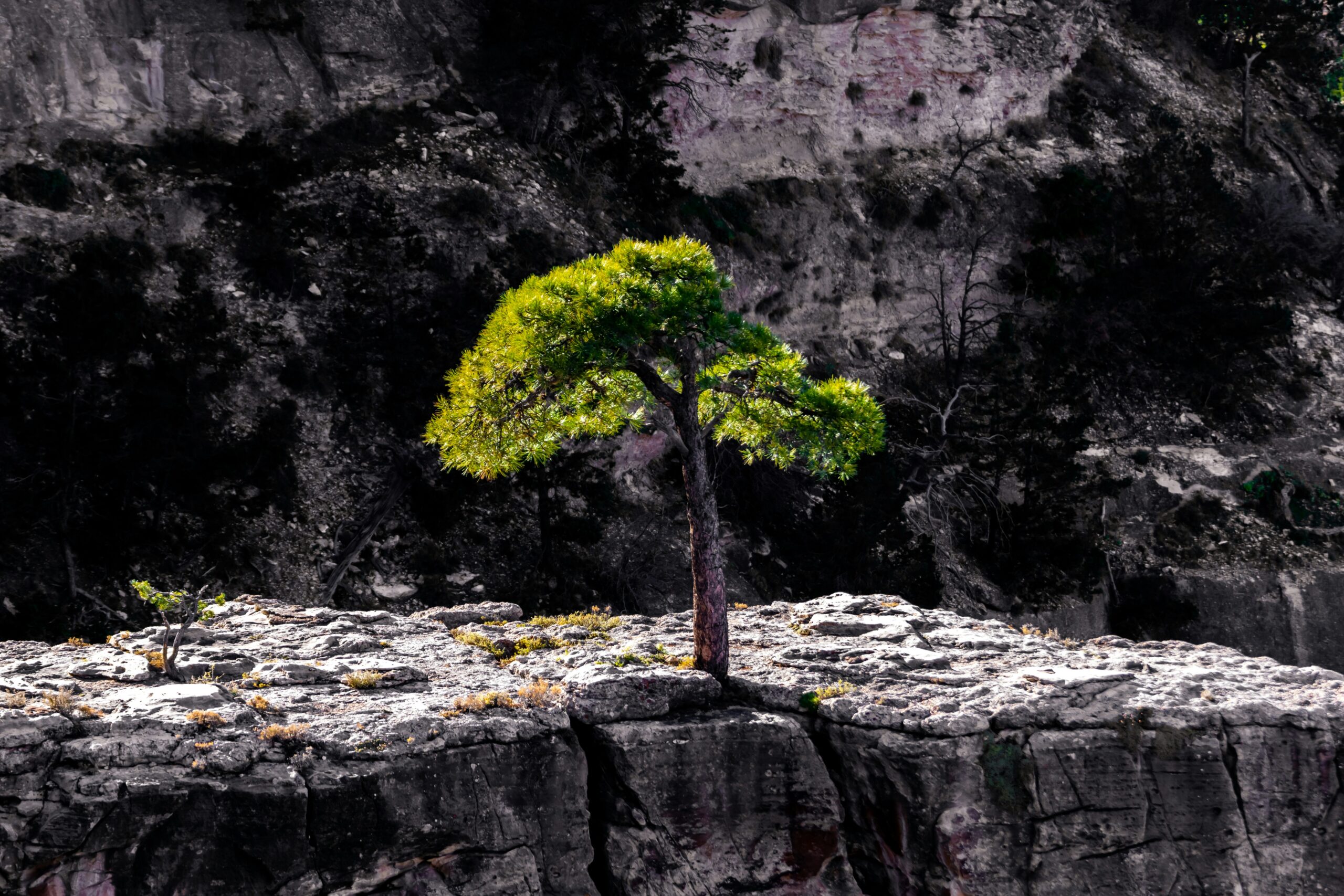 barth-bailey-wo--7reNC9c-unsplash